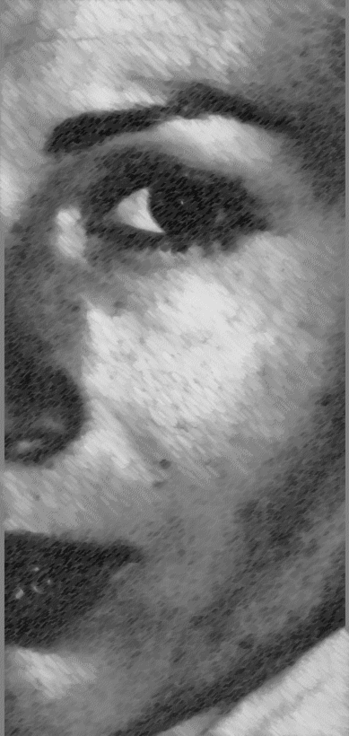 un pezzo del mio cuore