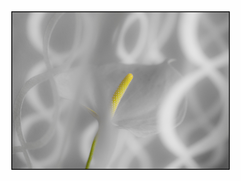082