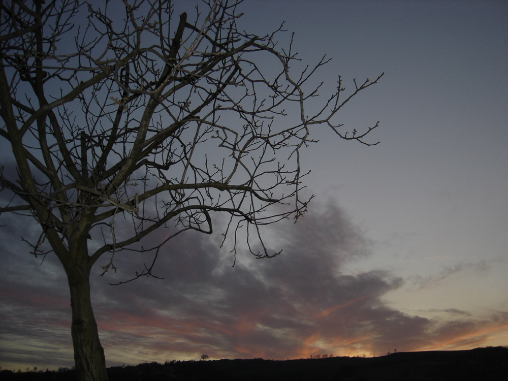 Tramonto nel mio giardino