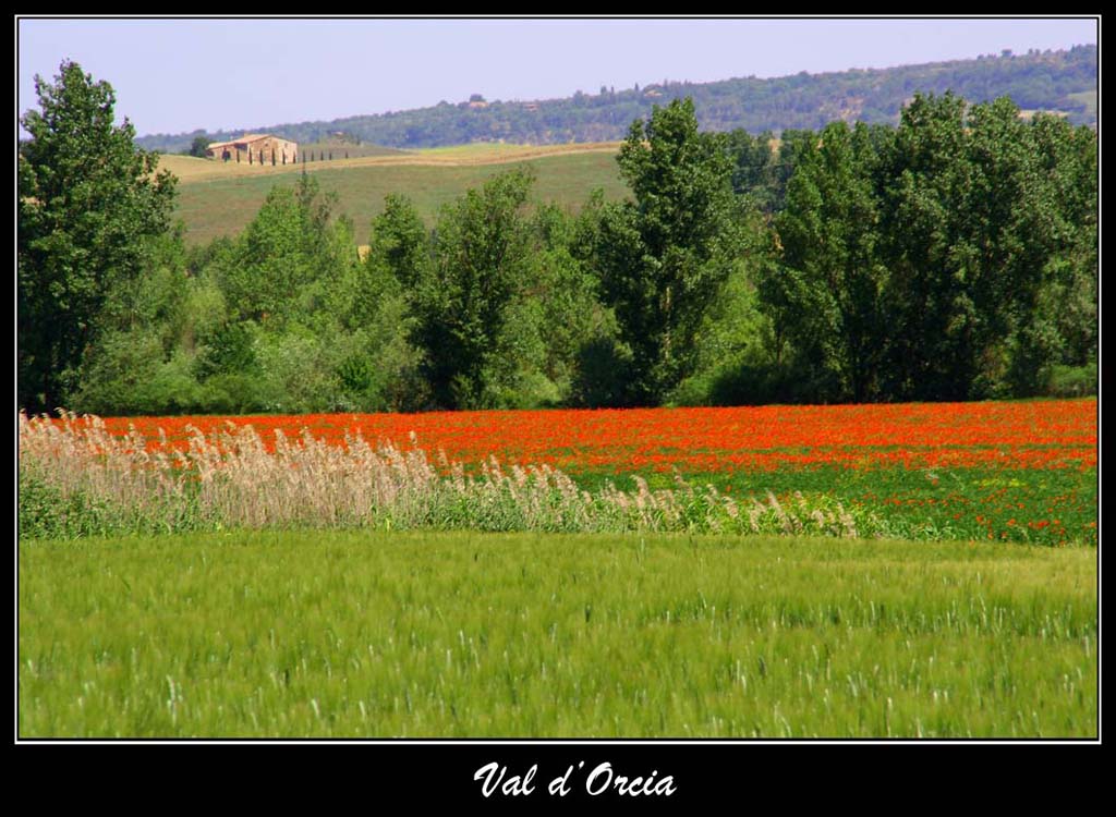 rosso val d'orcia