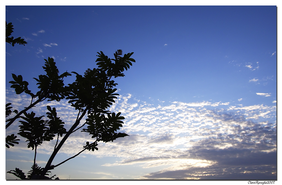 Quando il cielo .... fa sognare
