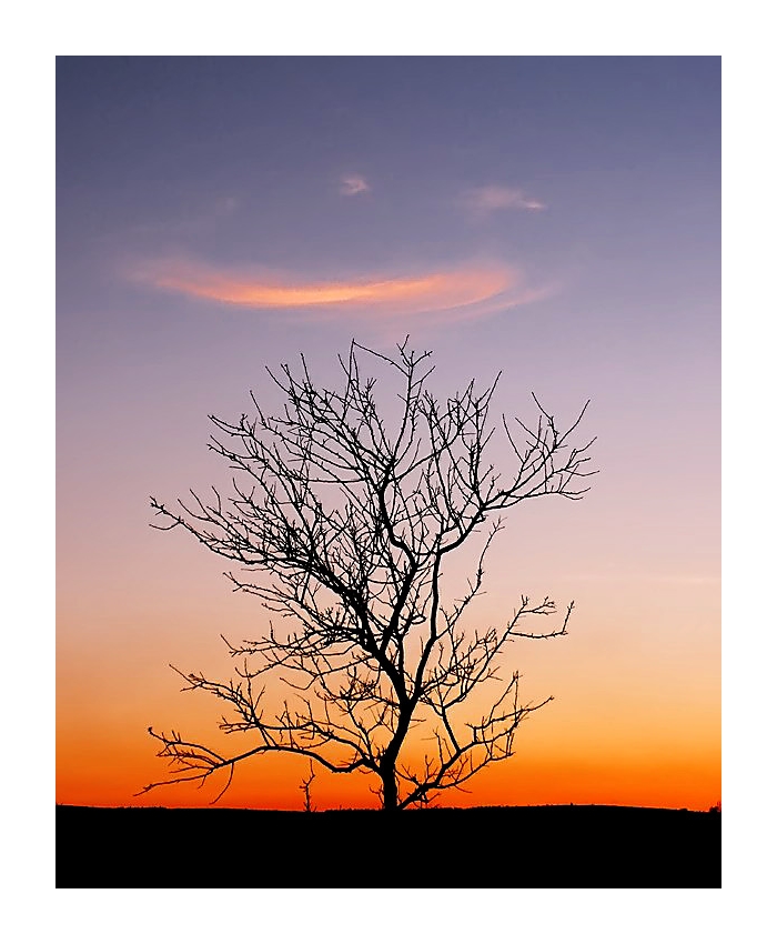 Naturale......delicatezza