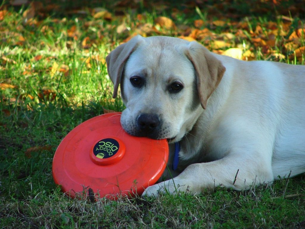 Il mio topolotto 1 anno fa