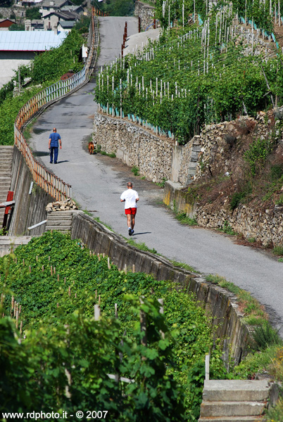 di corsa tra le vigne