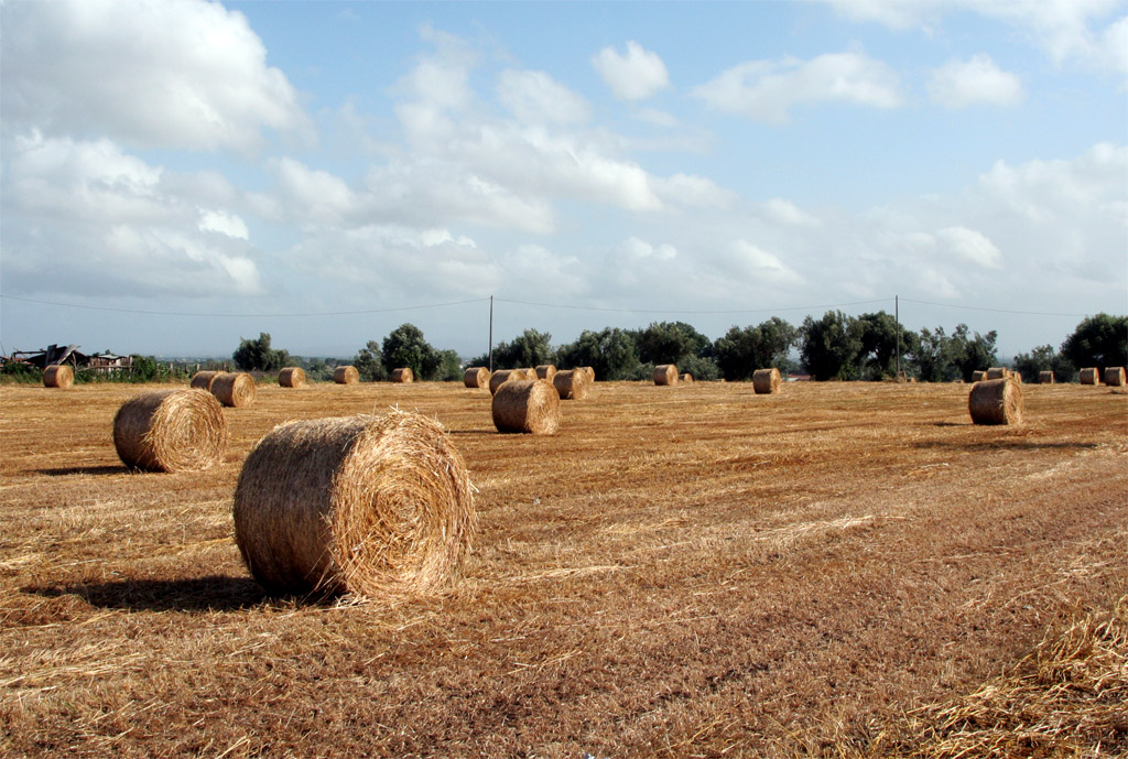 Balle .... di fieno