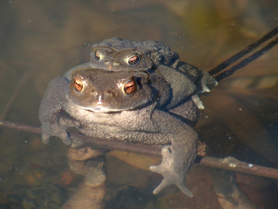 tutto tranquillo...si pu� uscire