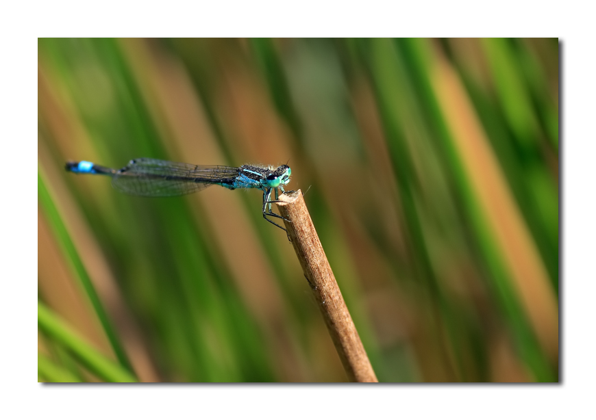 ...e alla fine si arriva in cima!!!!