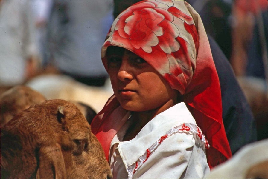 la piccola venditrice