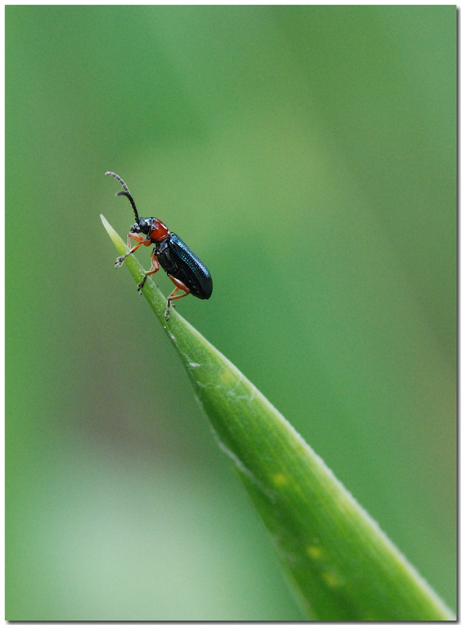 Salir�....salir�....