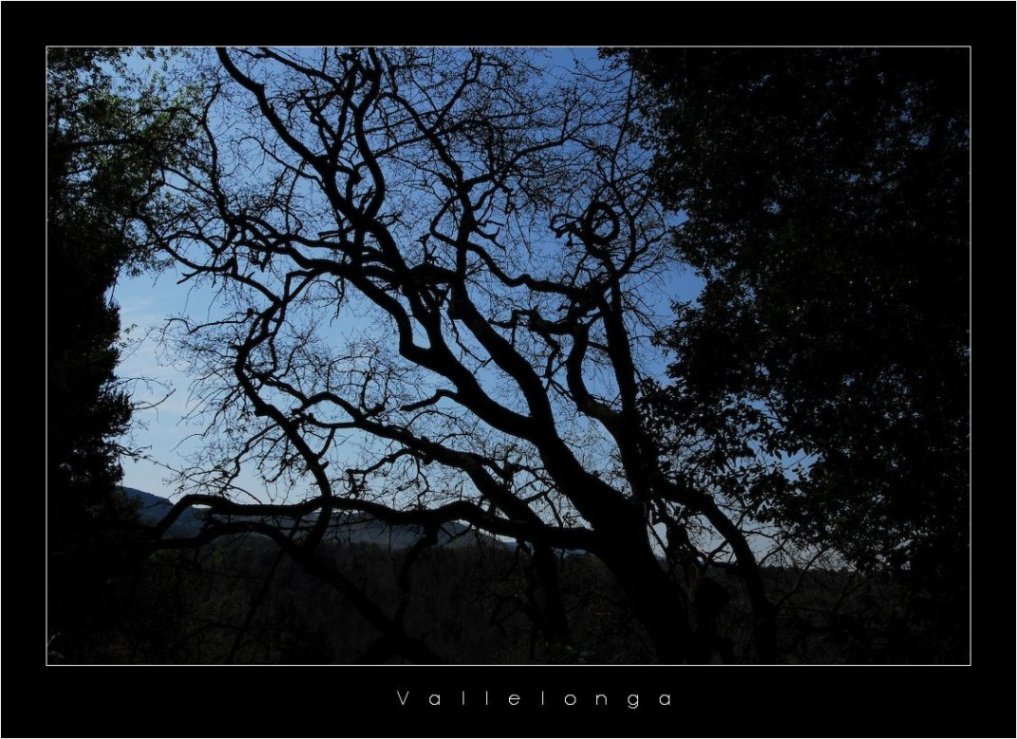 Calabria - Vallelonga - VII