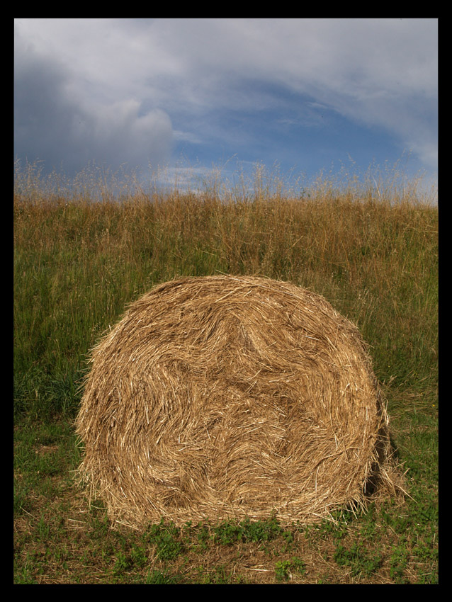 Covone di fieno...