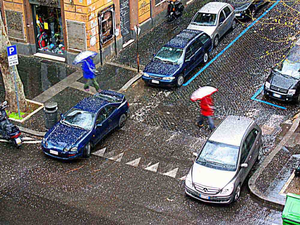 � in arrivo la primavera ma...