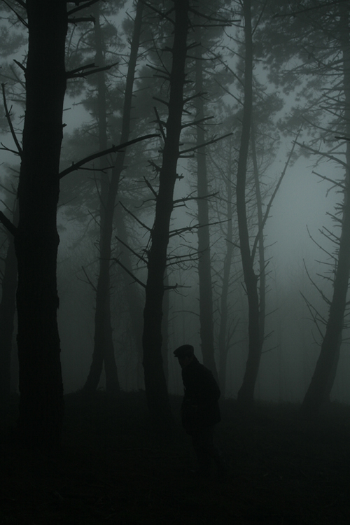 paesaggi  nella nebbia