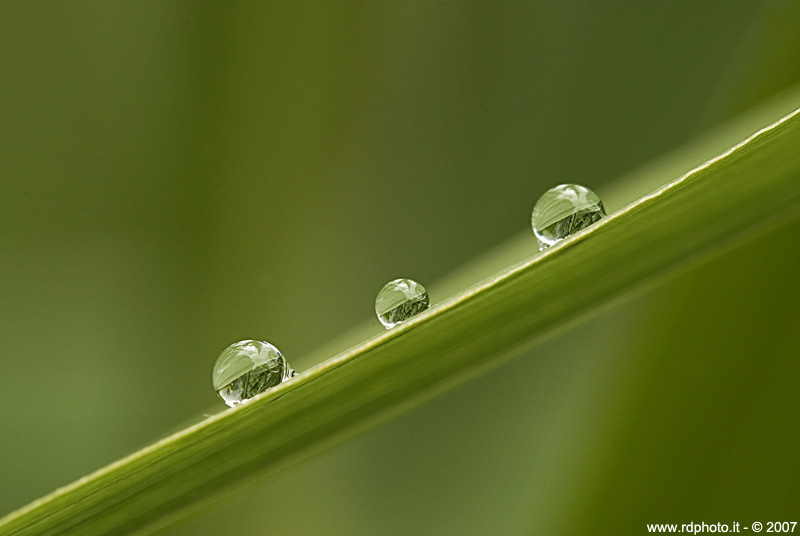 ..:: Three is a magic number ::..