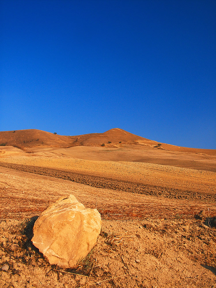 Deserto.......murgiano....