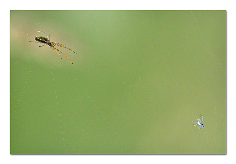 L'attrazione degli opposti