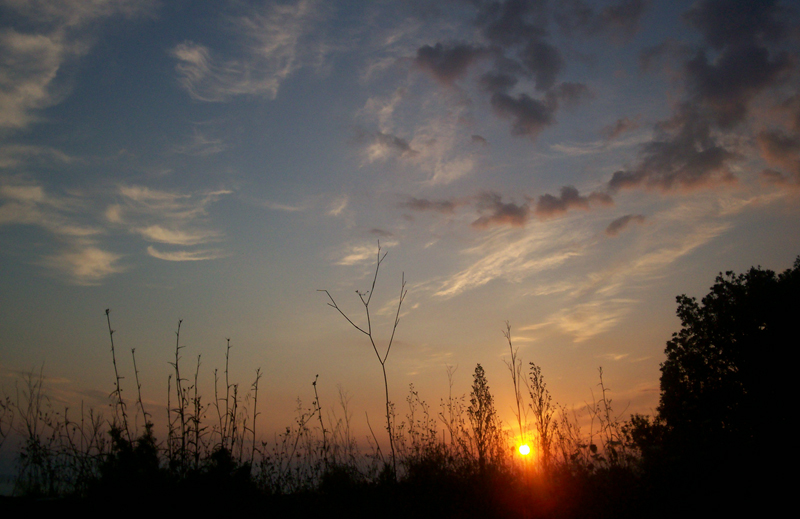 Un pomeriggio d'inizio estate