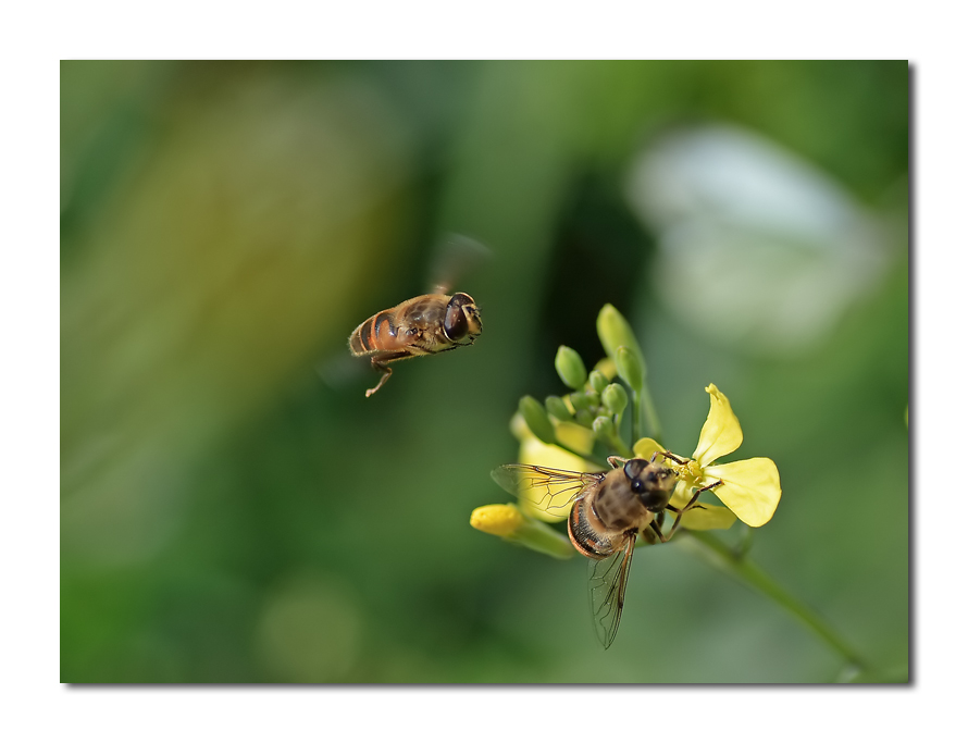 aggiungi un posto a tavola (dedicata a Luciano)