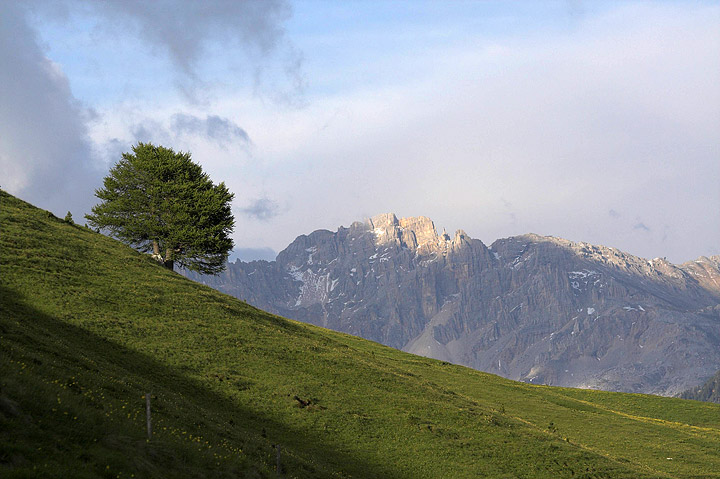 pascoli e roccia....