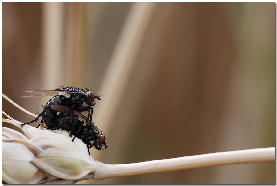 Questa volta il guardone sono IO.....