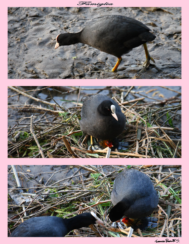 Famiglia (mini racconto)