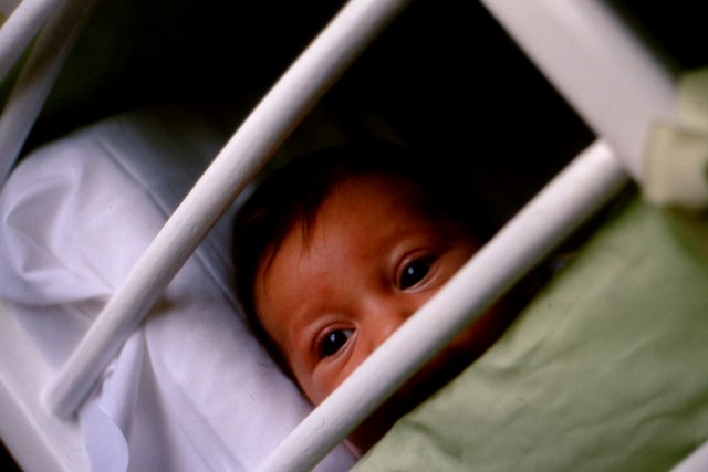 Primi sguardi sul mondo