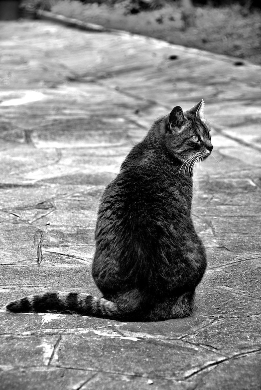 Where are you looking?