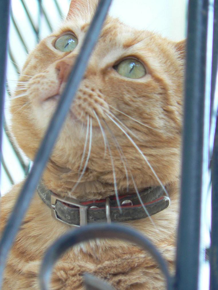 occhioni da gatta ;)