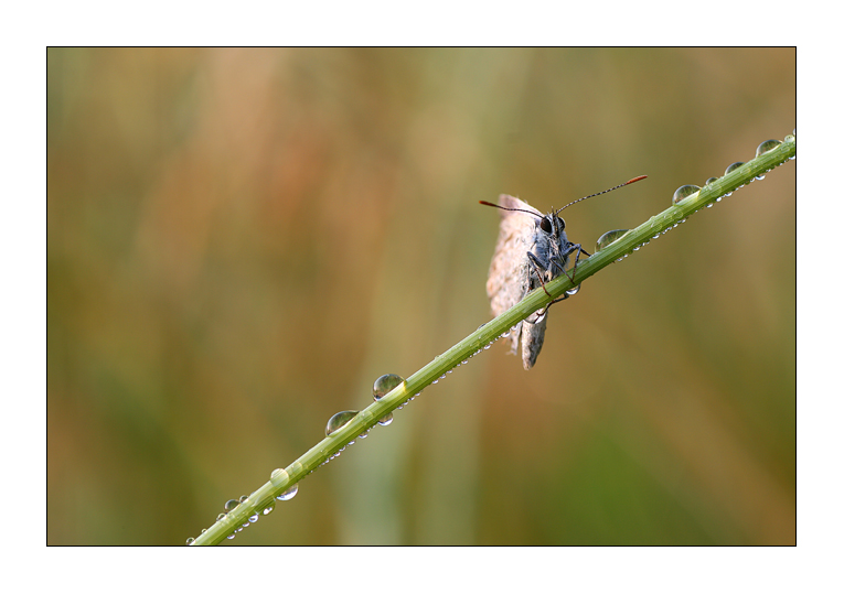Controluce sul bagnato