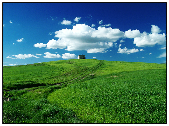 Lass�...................