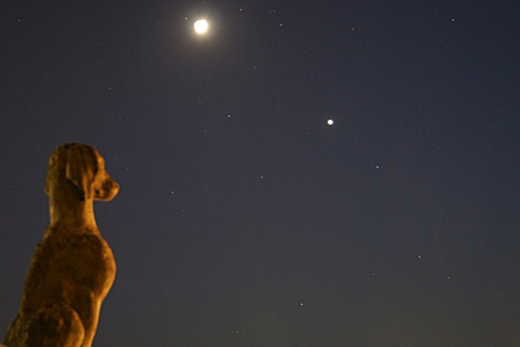 Il guardiano delle stelle