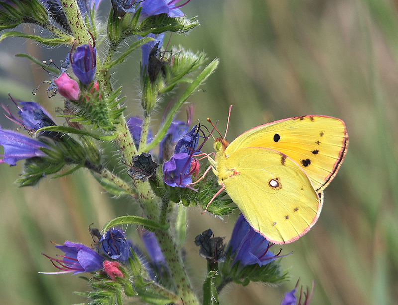 Madame prende son petit d�jeurer