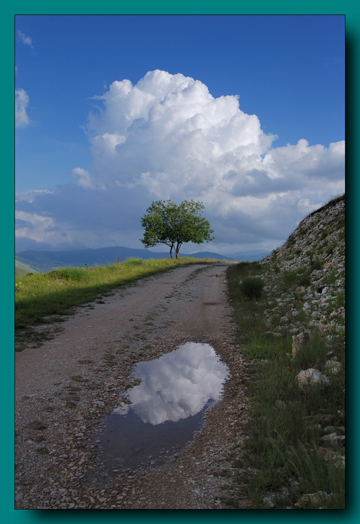 riflesso sibillinico