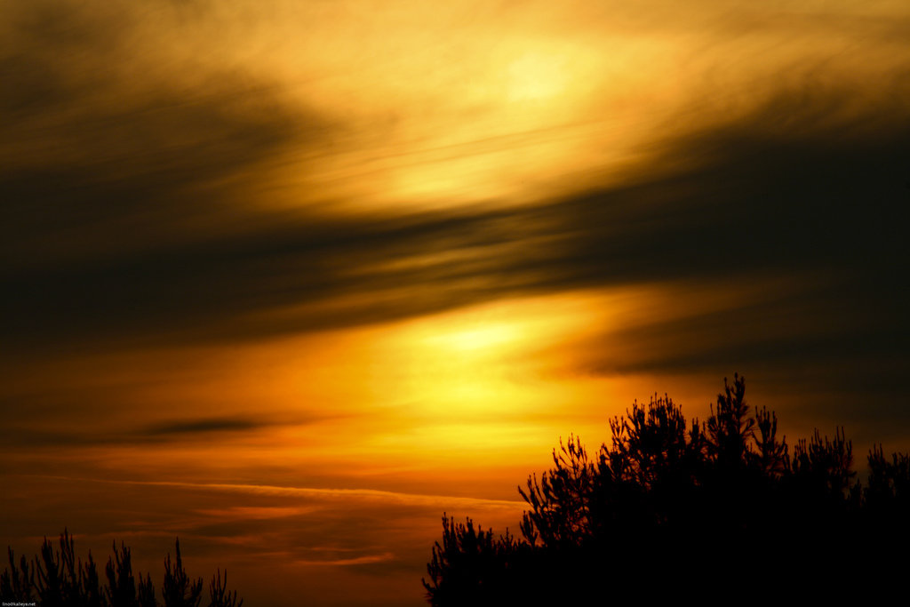sunshine, hot meal, lunchbox, ice cream!