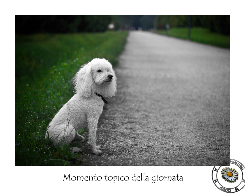 Momento topico della giornata