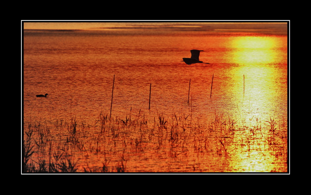 Ultimo volo nella Valle