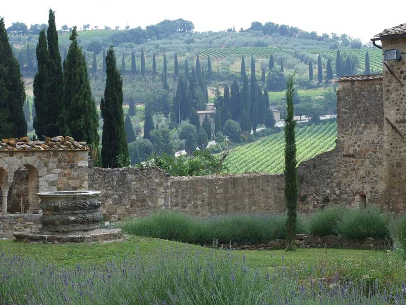 S. Antimo 2 - Toscana