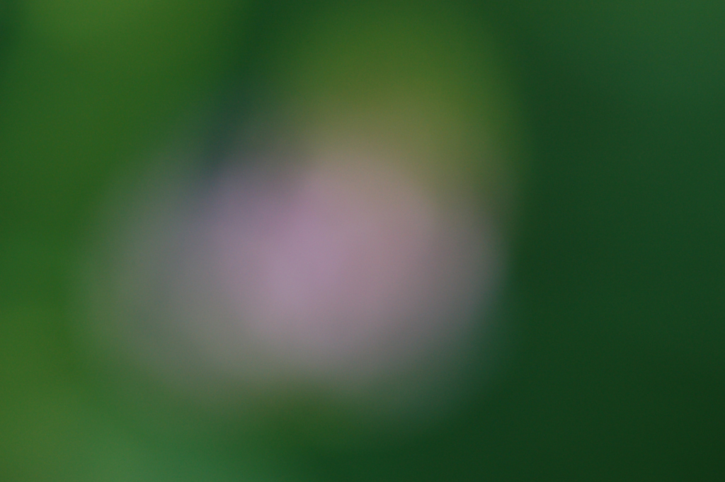 Offresi sfondo per soggetto macro