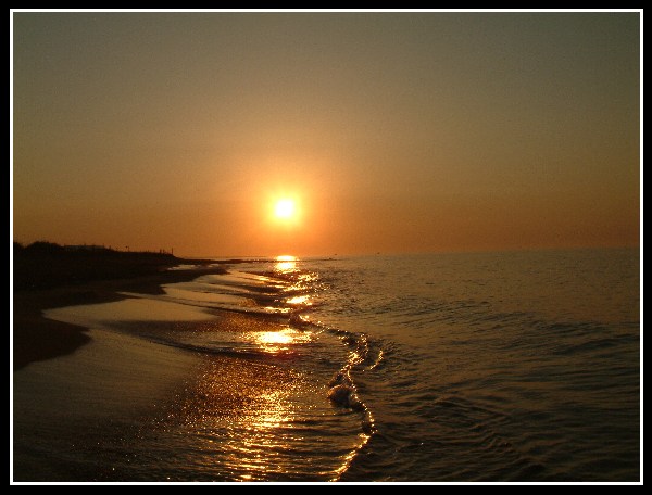 Alba