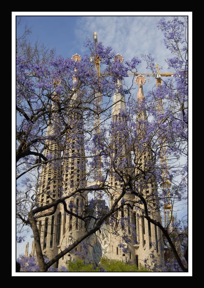 Barcellona "la Sagrada Familia"