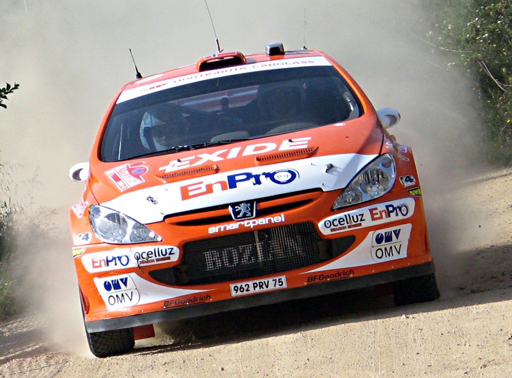 Rally Italia Sardinia - Cars