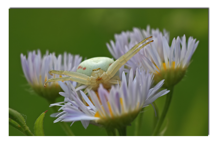 ti aspetto a braccia aperte...