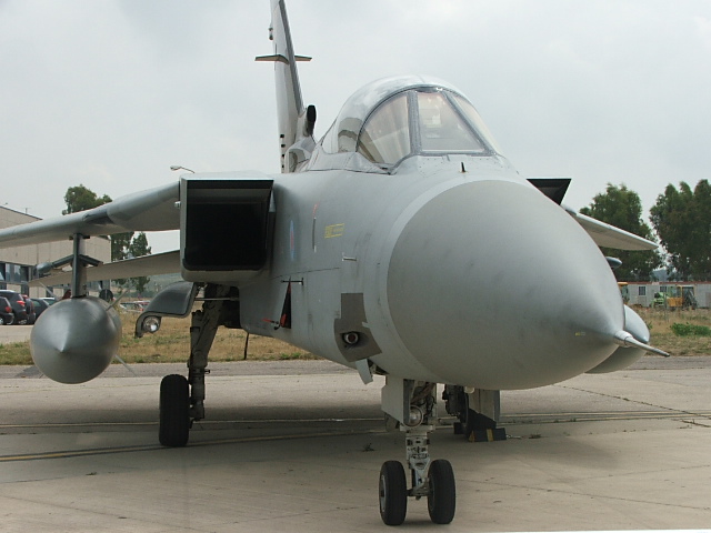 festa a pratica di mare