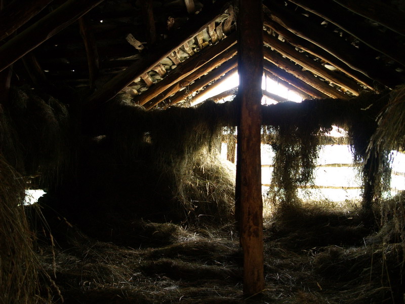 A riposo per l'inverno