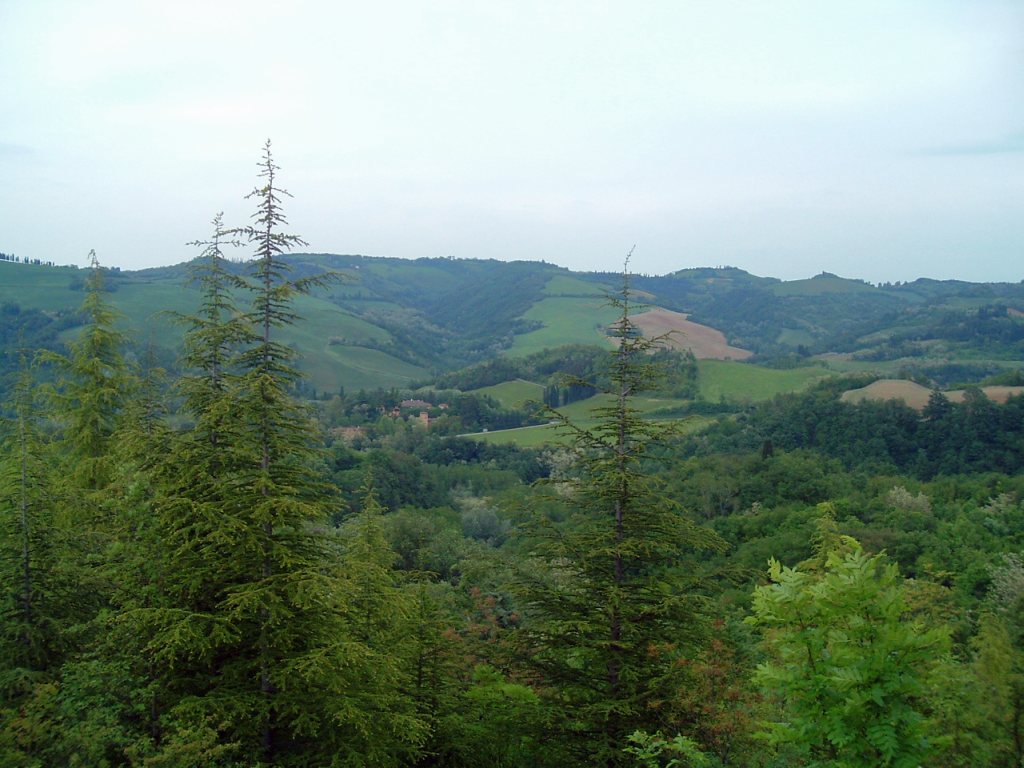 colli