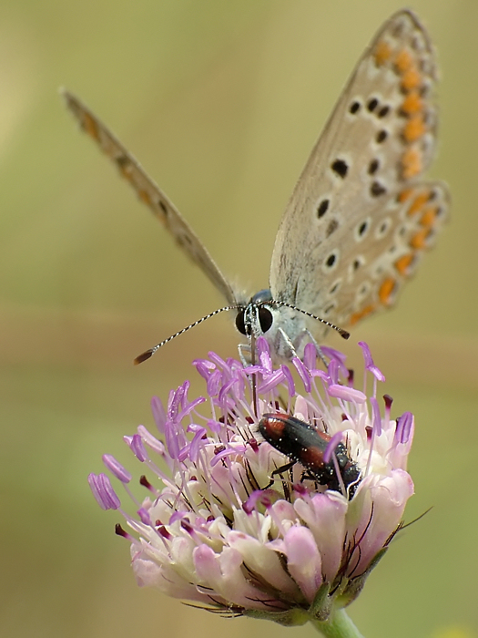 ...un tavolo per 2...