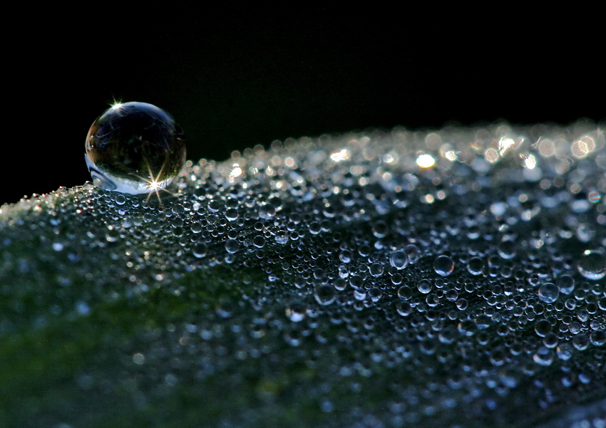 La Lacrima pi� grande