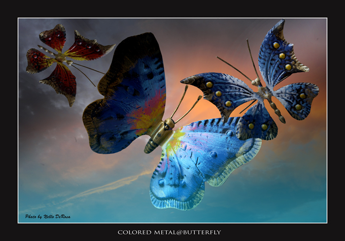 "Colored MetalButterfly"