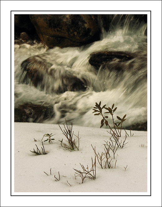 La strada per la Salvezza