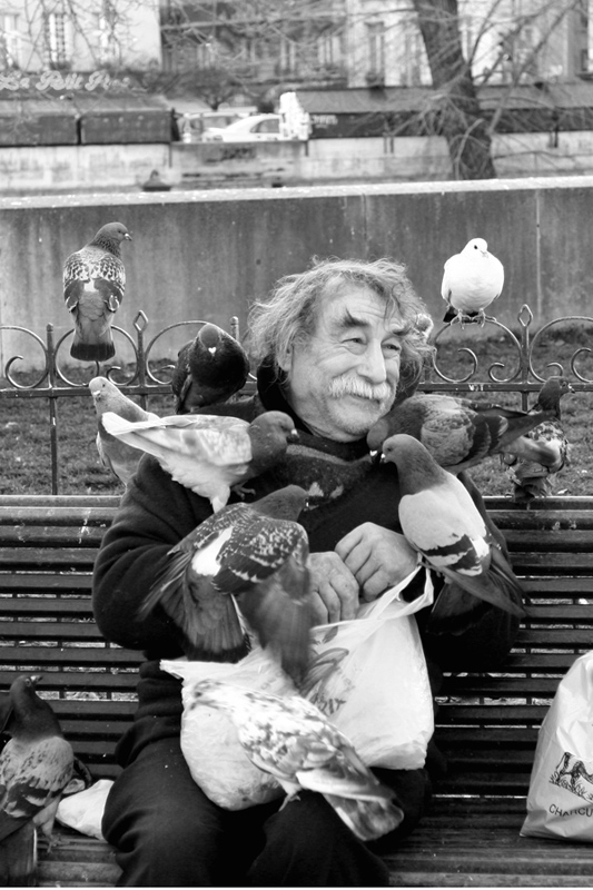 L'amore per i piccioni...